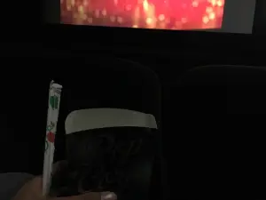 Cinéma Méga CGR