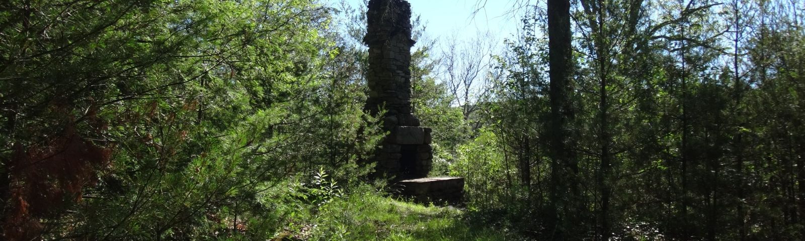 HollandTour Trong Ngày