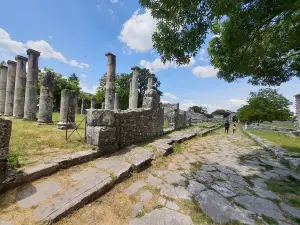 Saepinum Archaeological Area