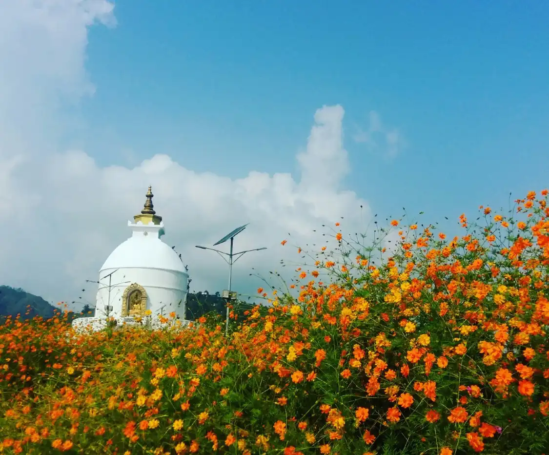 Hotels near Peace Temple