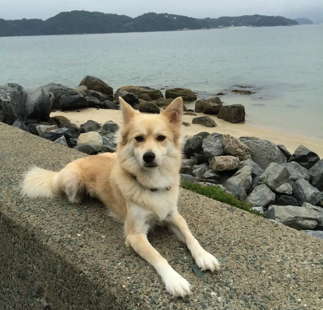 加布里海岸周辺のホテル