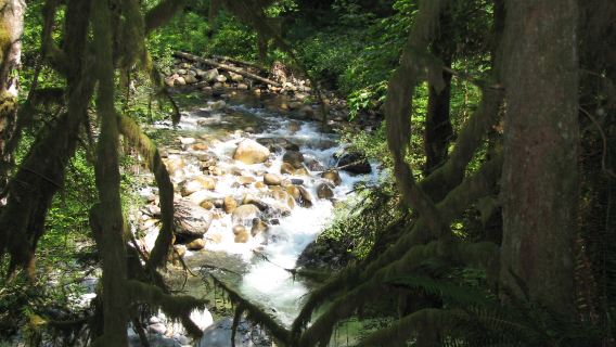 Wallace Falls State Park