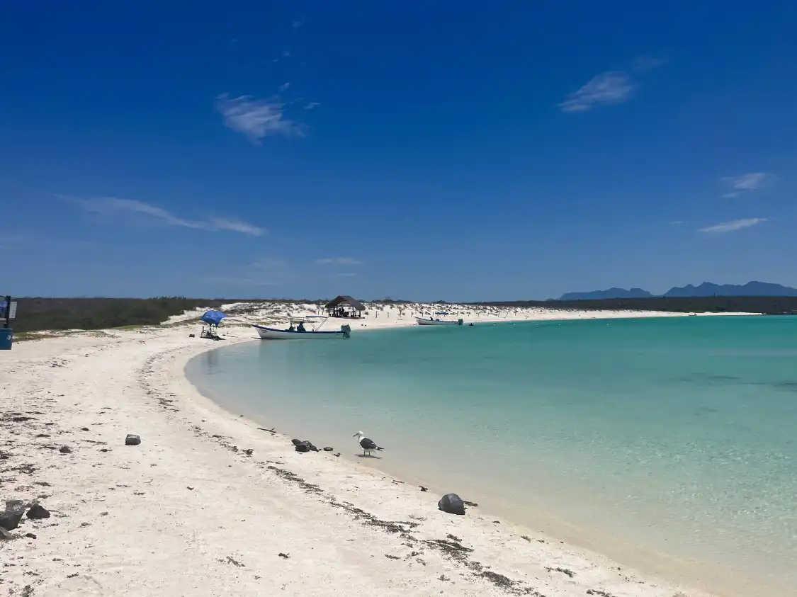 Hotels near Isla Coronado