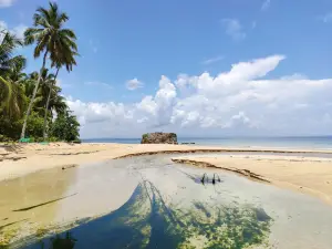 Flora Tours - Excursions Nature - Las Terrenas