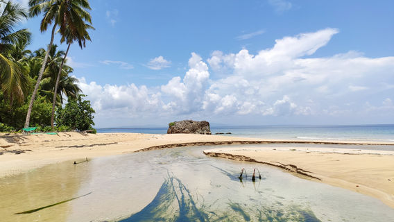 Flora Tours - Excursions Nature - Las Terrenas
