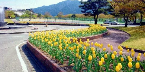 Hidagawa Park