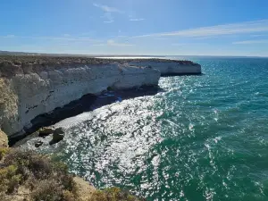 Reserva Lobería de Punta Loma