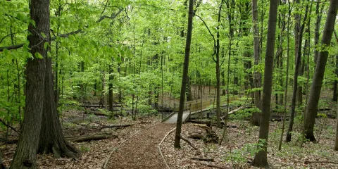 Calvin College Ecosystem Preserve