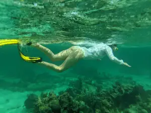 Searious Adventures