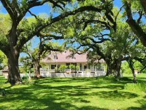 Oakland Plantation