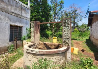 Kaya Kinondo Sacred Forest