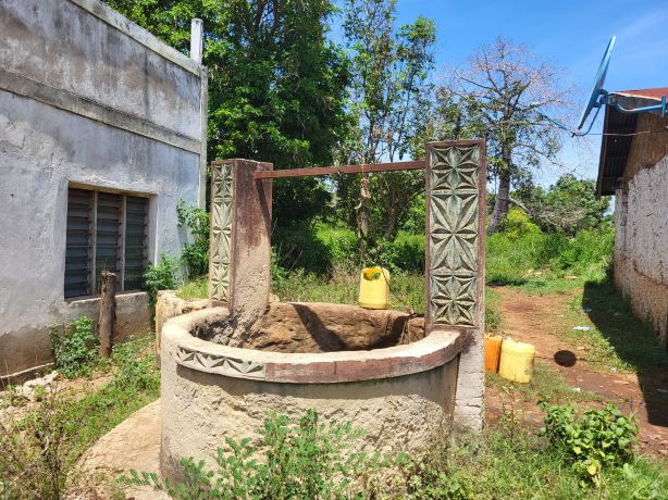 Kaya Kinondo Sacred Forest