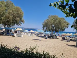 Camel Beach