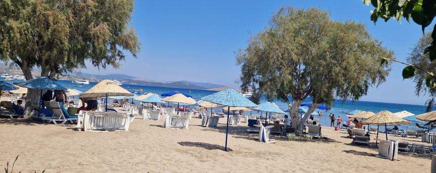Camel Beach