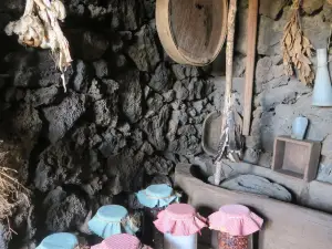 Ecomuseo de Guinea y Lagartario