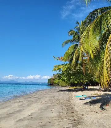 โนซี่บี