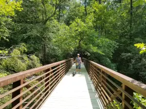 Parc d'État de Medoc Mountain