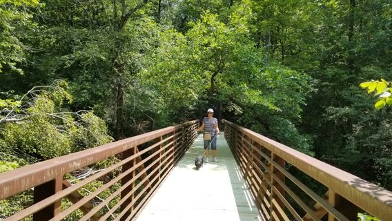 Medoc Mountain State Park