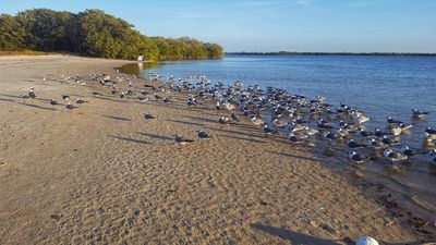 Robert K Rees Memorial Park