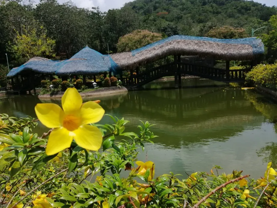 4_Albay Park & Wildlife