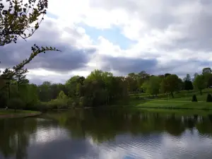 Johnny Henderson Park Trail