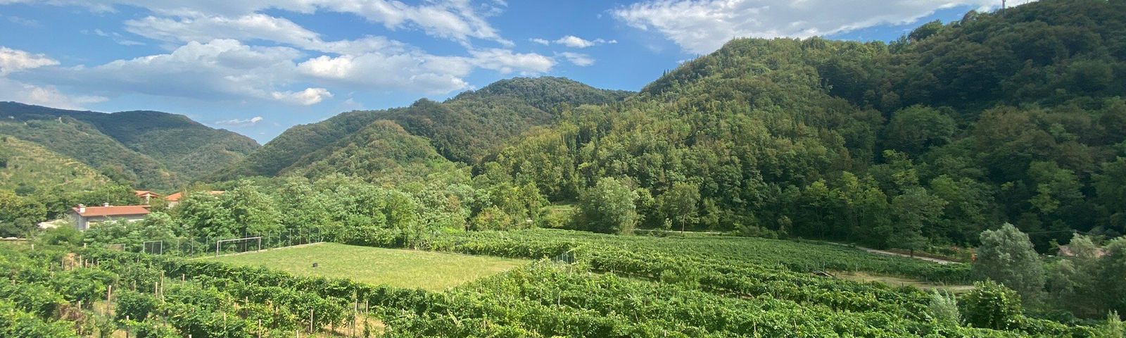 ВальдоббьяденеТуристические услуги