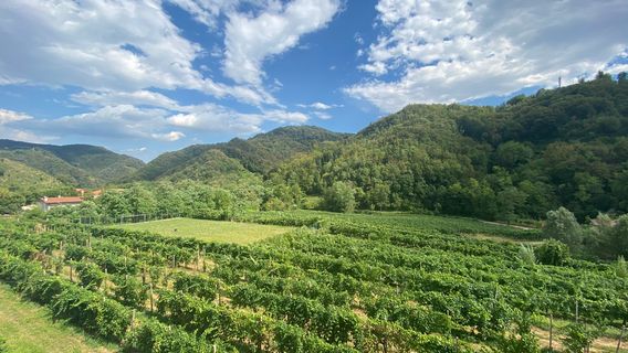 Nani Rizzi Spumanti di Valdobbiadene