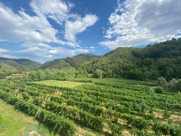 Valdobbiadene