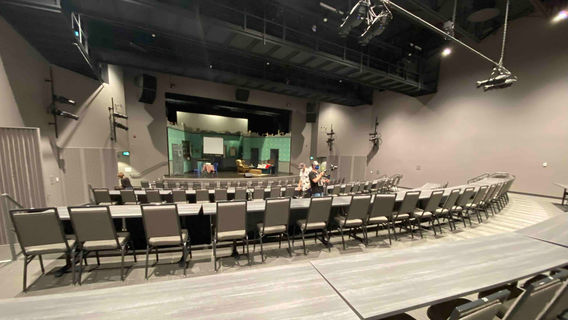 Theatre Newfoundland Labrador (TNL)