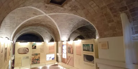 Museo del Vino