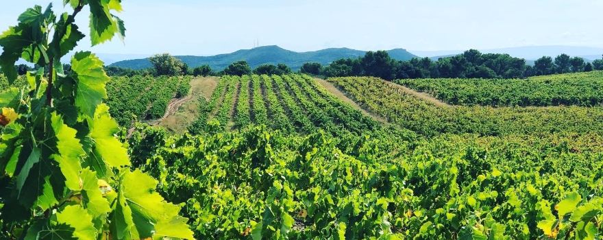 Domaine Clavel