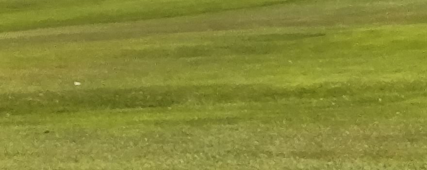 Royal Tarlair Golf Club