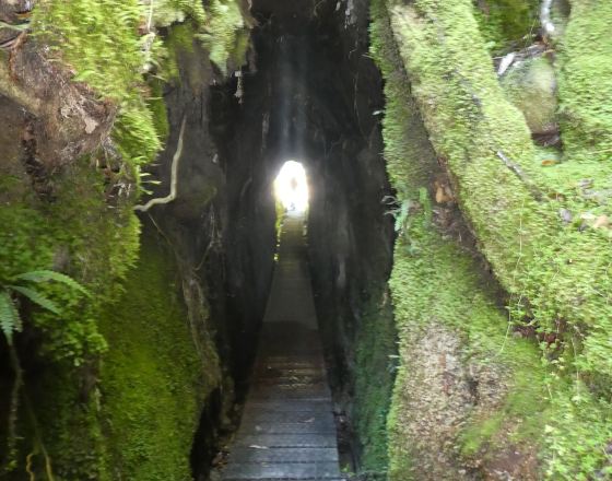 阿瓦圖納 自由行套票