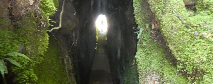 Awatuna