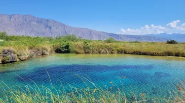 Cuatro Ciénegas