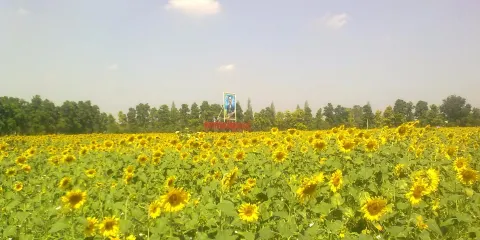 Suphanburi Agricultural Extension and Development Center
