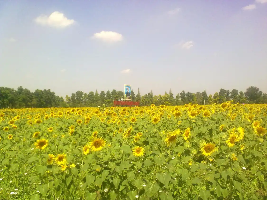 Hotel in zona Suphanburi Agricultural Extension and Development Center