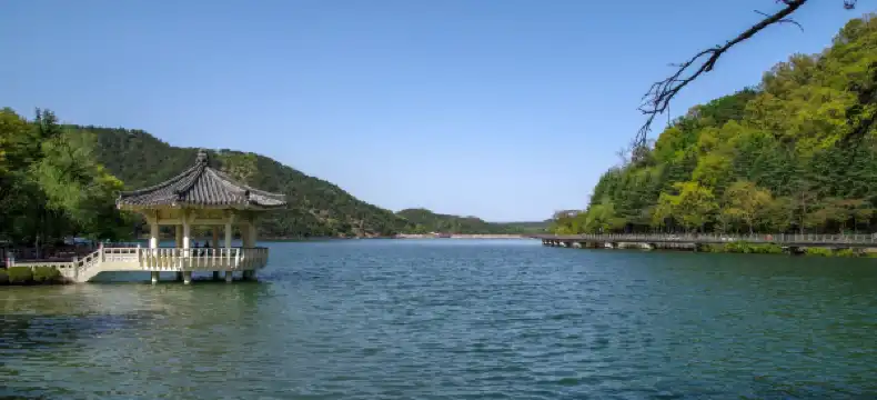 Hotels near Chaemijeong