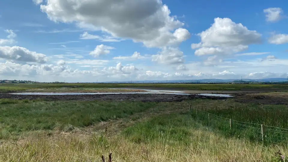 5_WWT Steart Marshes