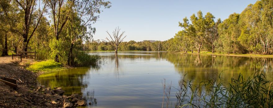 Wonga Wetlands