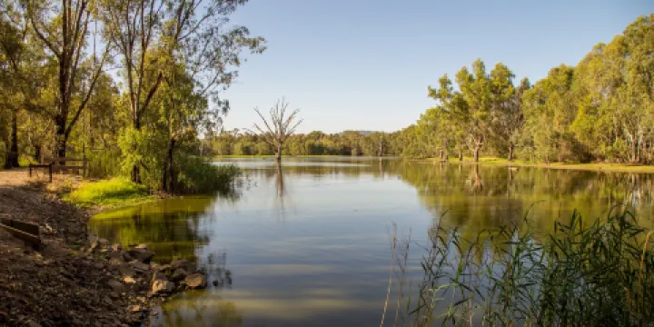 Wonga Wetlands