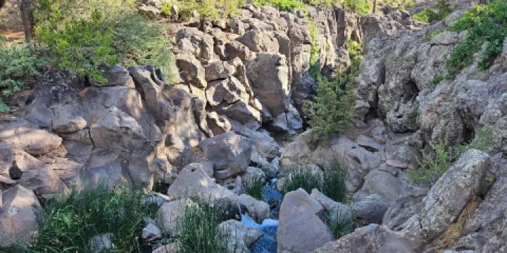 Picture Canyon Natural and Cultural Preserve