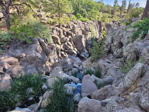 Picture Canyon Natural and Cultural Preserve