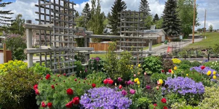 Botanical Gardens of Silver Springs