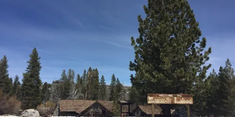 Mammoth Museum at the Hayden Cabin