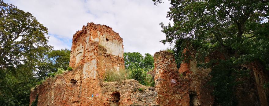 Castle in Milicz