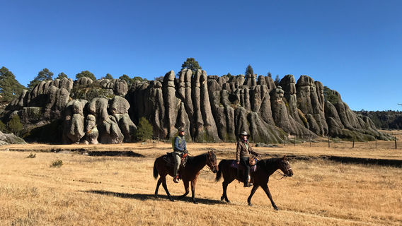 Creel Paseos A Caballo Vaquero