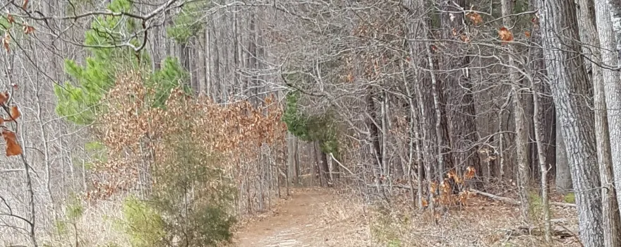 Sandy Creek Park
