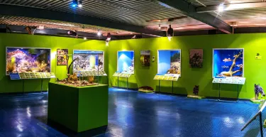 General Roca Department