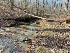 Grayson Lake